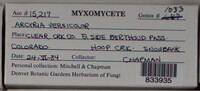 Image Associated With the Occurence